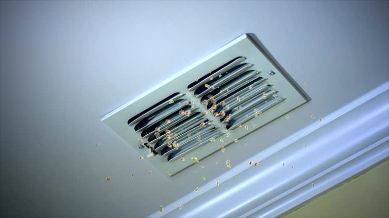 Best Best Air Duct Cleaning Company  in Nekoosa, WI