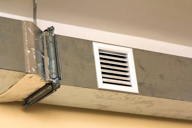 Best Affordable Duct Cleaning Services  in Nekoosa, WI
